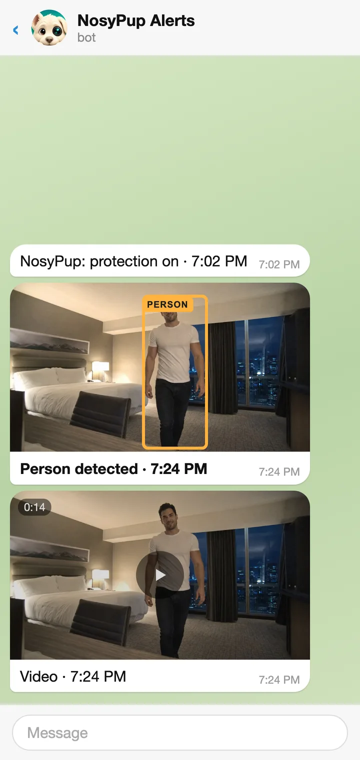 Illustration of a NosyPup alert in Telegram: Person detected, with the photo and the video